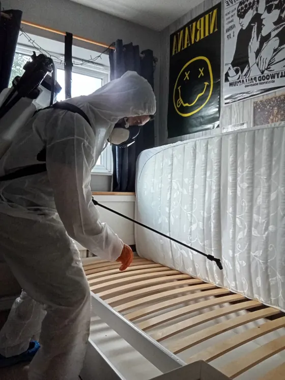 Technician inspecting and treating the mattress and bed frame